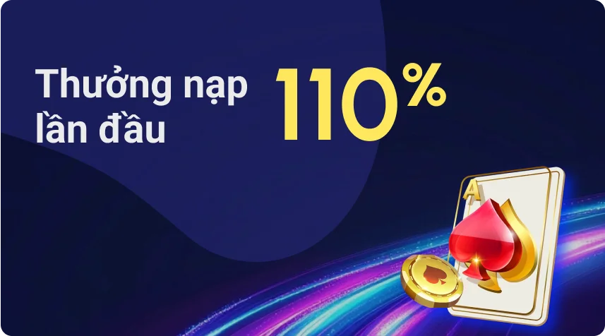 banner-promotion-110-home
